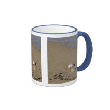 Taza de la costa