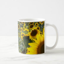 Taza de la ducha del girasol del verano
