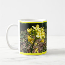 Taza de la flor