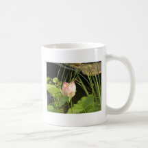 Taza de la flor de Waterlily