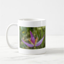 Taza de la flor del plátano