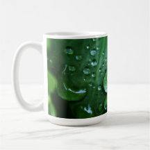 Taza de la gota de lluvia