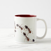 taza de la hormiga