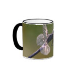 Taza de la libélula