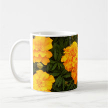 "Taza de la locura de la maravilla"