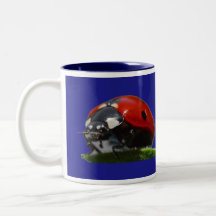 taza de la mariquita