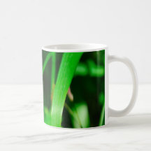 Taza de la mosca de la damisela