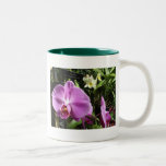 Taza de la orquídea de la orquídea