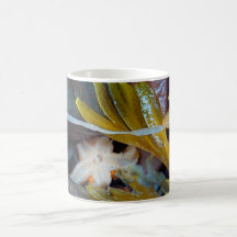 Taza de la piel y del Mar-k