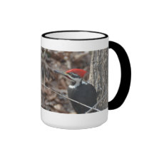 Taza de la pulsación de corriente de Pileated