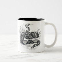 Taza de la serpiente de Tejas