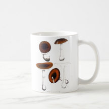 Taza de la seta