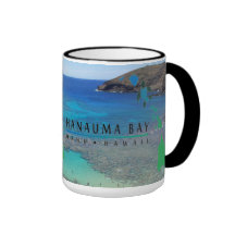 Taza de la tortuga de las islas de Hawaii