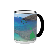 Taza de la tortuga de las islas de Hawaii