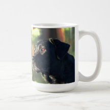 Taza de Labradors