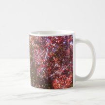 Taza de las hojas de otoño