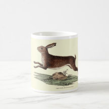 TAZA DE LAS LIEBRES