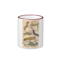Taza de las orugas