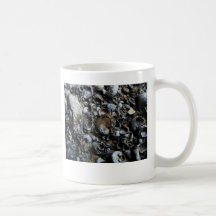 Taza de los descubrimientos de Fossilfields