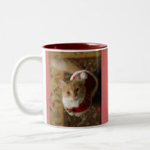 Taza de los gatos del día de fiesta