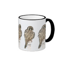 Taza de los pájaros del cernícalo