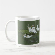 Taza de los pelícanos blancos