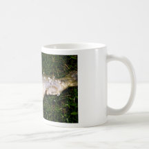 taza de los pescados