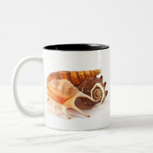 Taza de los Seashells