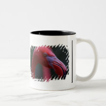 Taza de lujo de la frontera de la franja del "flam
