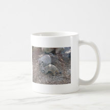 Taza de Meerkats