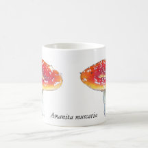 Taza de Muscaria de la amanita