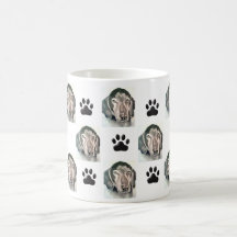 Taza de pelo corto alemana - "Jake "