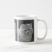 Taza de pelo largo británica del gato