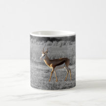 Taza de Springbock