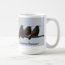 Taza de tres pequeña pájaros