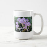 Taza del azafrán