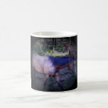 Taza del caballo 2