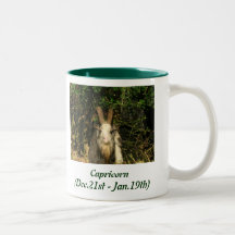 Taza del Capricornio