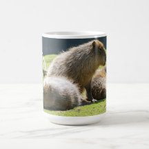 Taza del Capybara