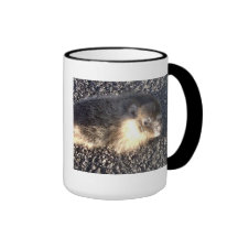 Taza del cerdo de tierra
