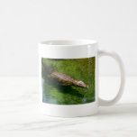 Taza del cocodrilo