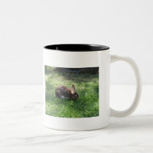 Taza del conejito