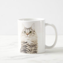 Taza del Coon de Maine