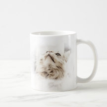 Taza del Coon de Maine