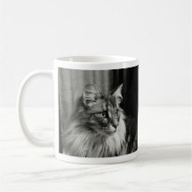 Taza del Coon de Maine (mono)