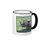 Taza del corso del bastón