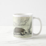Taza del erizo del vintage