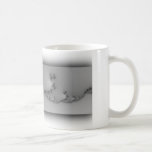 TAZA del fractal