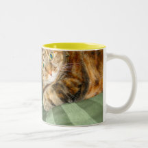 Taza del gato