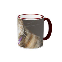 Taza del gato